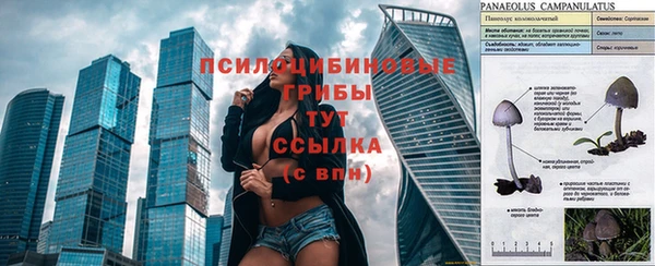 прущие крисы Арсеньев