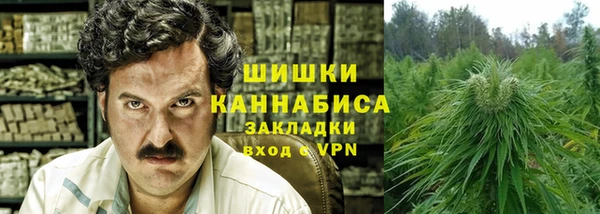 прущие крисы Арсеньев