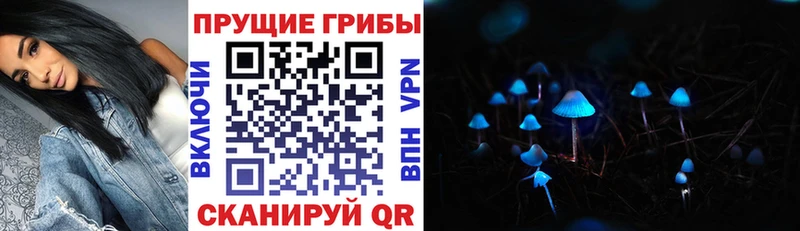 Галлюциногенные грибы Cubensis  Солнечногорск 